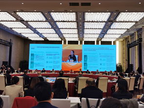 國際 智囊團 齊聚雁棲湖,為北京服務(wù)貿(mào)易建言